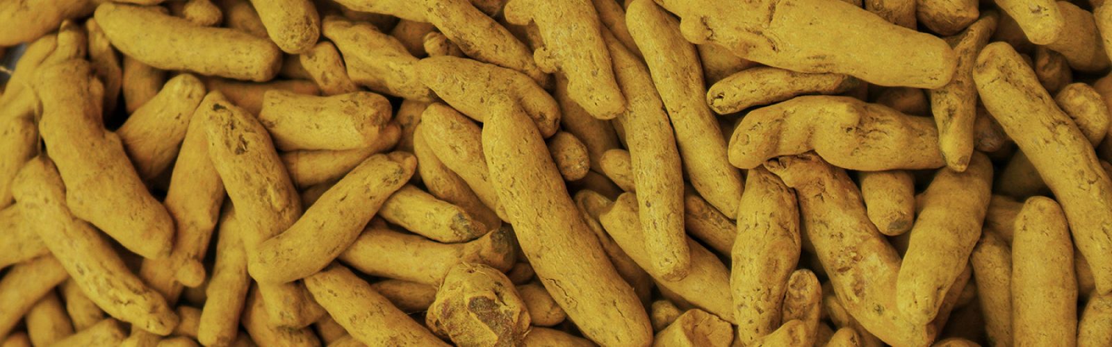 1117096635-s1-turmeric (1)