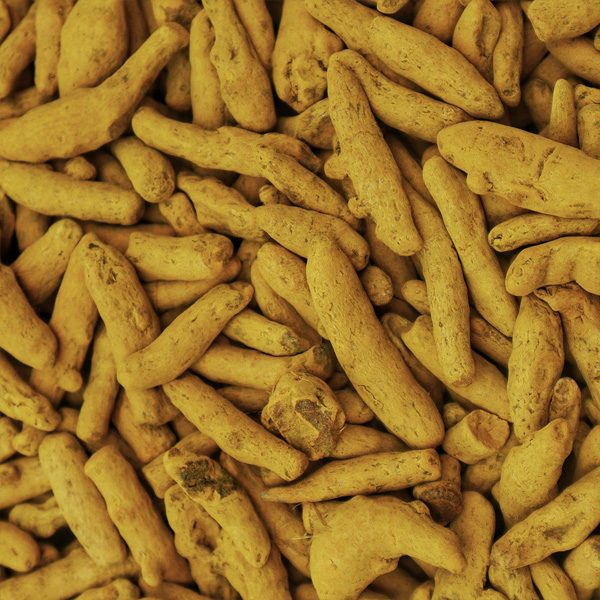 1308120933-turmeric
